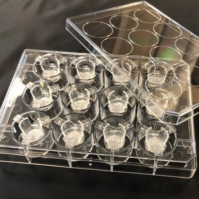Alvetex Scaffold 24 Well Insert