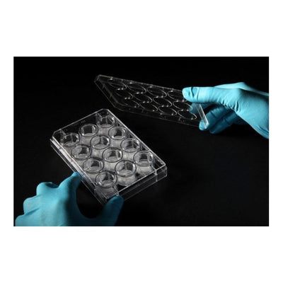 Alvetex Scaffold Plate Starter Kit