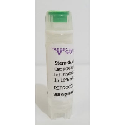 StemRNA Human iPSC BL003