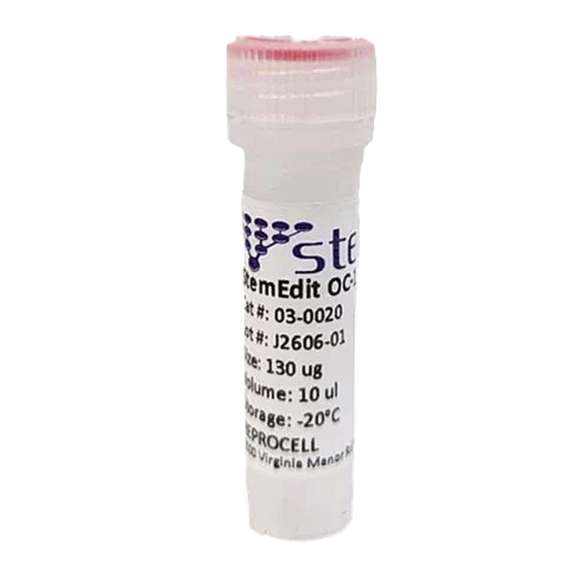 StemEdit OC-1 Protein