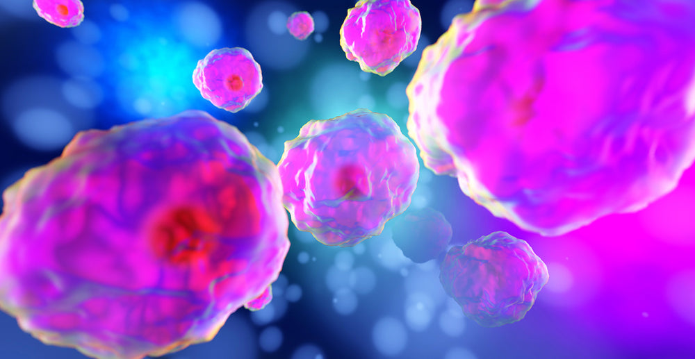 3D Cell Culture