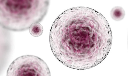 iPSC Disease Modelling