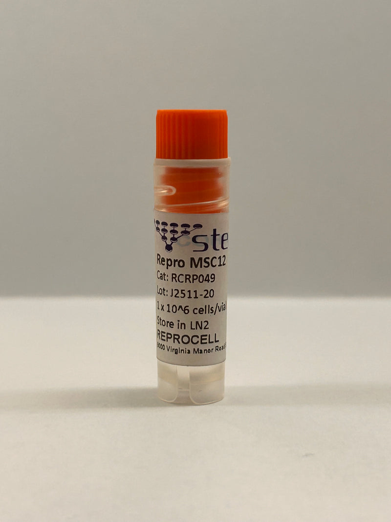 Repro MSC12 iPSC-derived MSCs, Phenol Red-Free