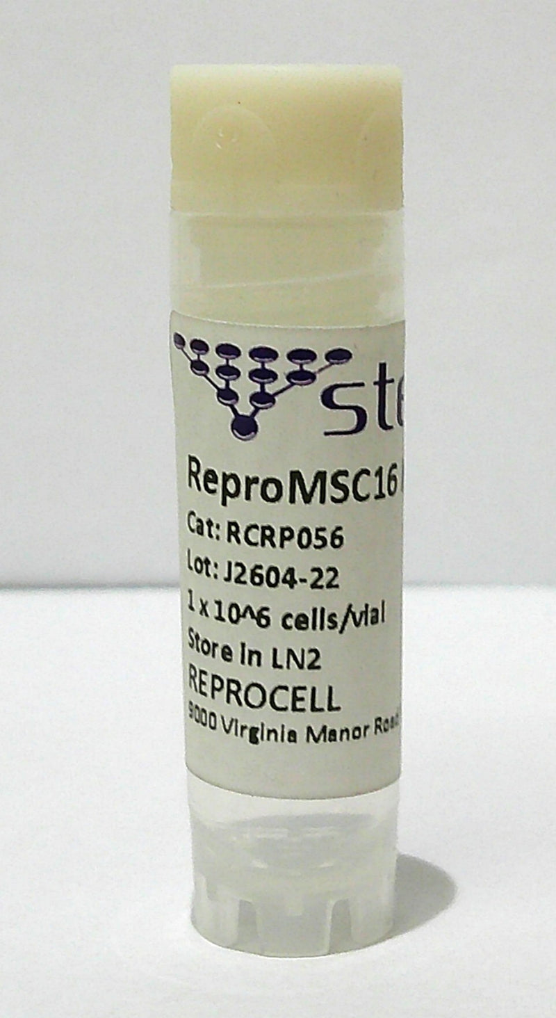 ReproMSC16 hTERT SV40