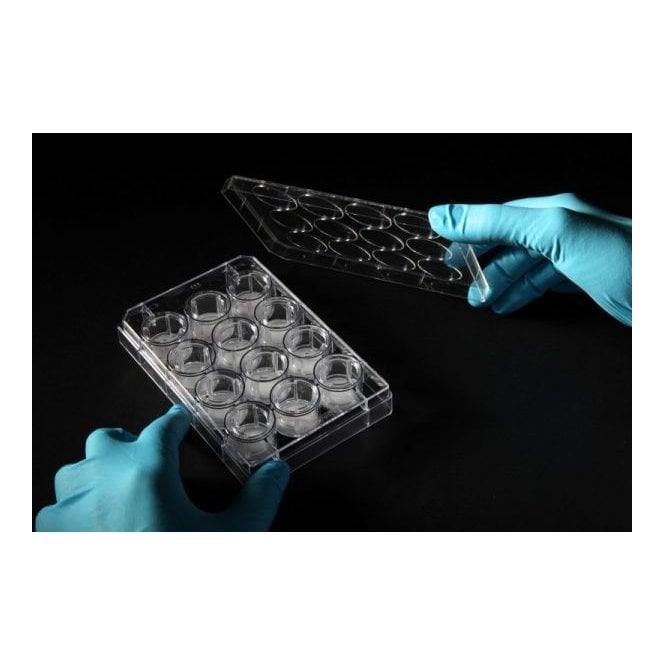 Alvetex Scaffold Plate Starter Kit