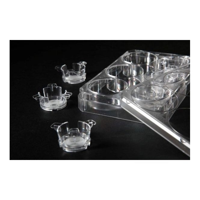 Alvetex Strata 6 Well Insert