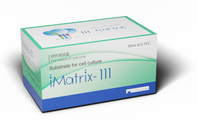iMatrix-111 Hepatoblast-Like Epithelial Cell Culture Substrate