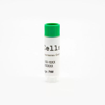 CI-huArlo Immortalized Human Alveolar Epithelial Cells