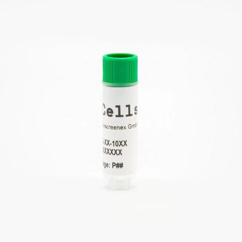 CI-huArlo Immortalized Human Alveolar Epithelial Cells