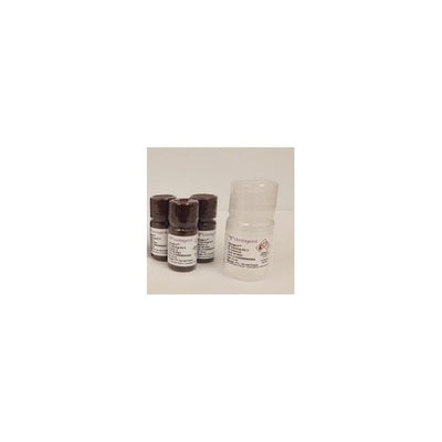 StemAb Alkaline Phosphatase Staining Kit II