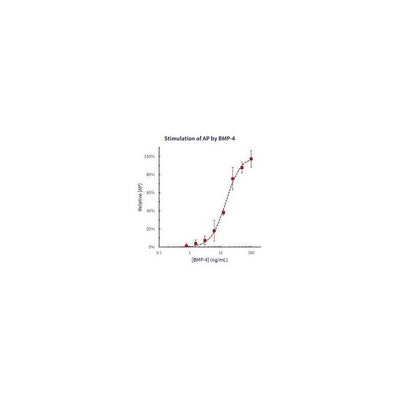 Stemfactor BMP-4, Human Recombinant
