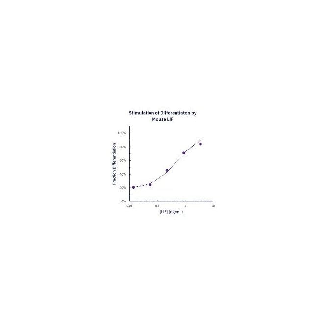 Stemfactor LIF, Mouse Recombinant