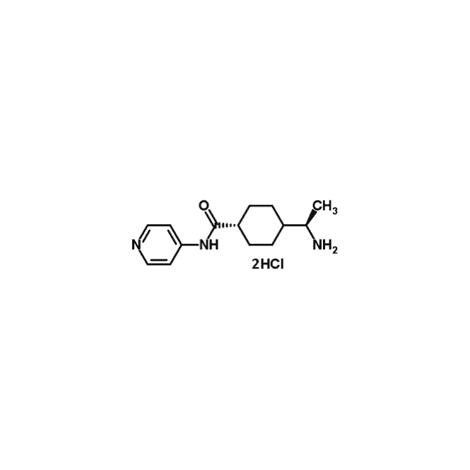 Stemolecule Y27632