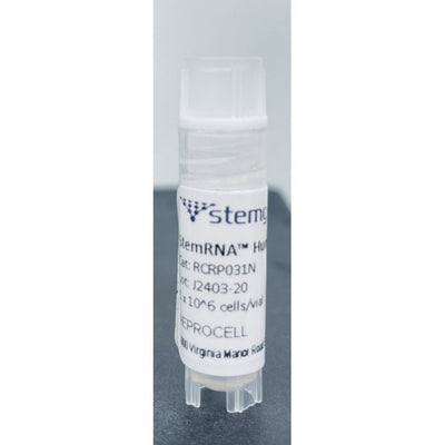 StemRNA Human iPSC SK013