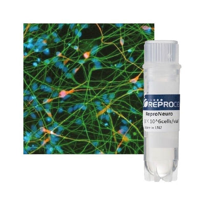 StemRNA Neuro